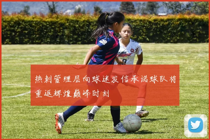 热刺管理层向球迷发信承诺球队将重返辉煌巅峰时刻