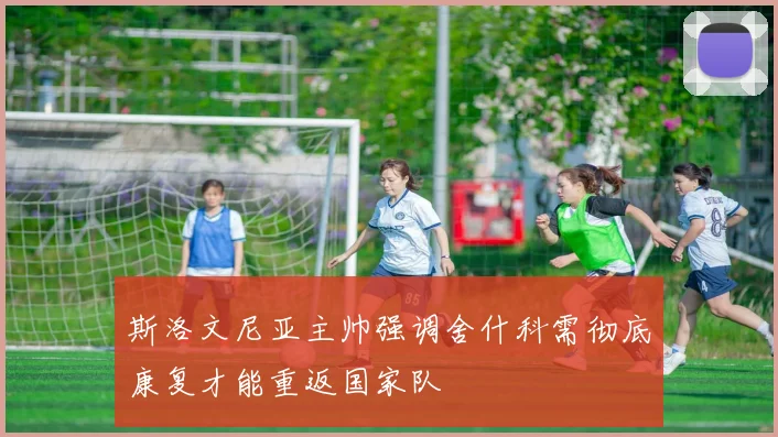 斯洛文尼亚主帅强调舍什科需彻底康复才能重返国家队
