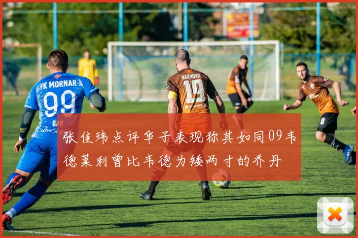 张佳玮点评华子表现称其如同09韦德莱利曾比韦德为矮两寸的乔丹